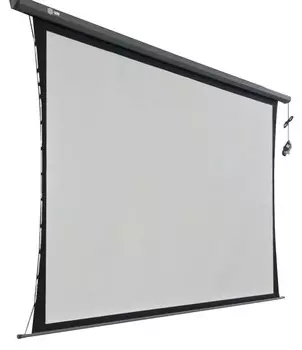 Экран Cactus Professional Tension Motoscreen CS-PSPMT-149x265 120" 16:9 настенно-потолочный рулонный черный (моторизованный привод)
