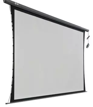 Экран Cactus Professional Tension Motoscreen CS-PSPMT-206X274 135" 4:3 настенно-потолочный рулонный черный (моторизованный привод)