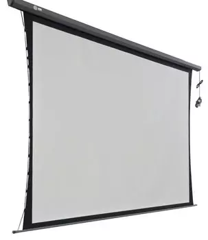 Экран Cactus Professional Tension Motoscreen CS-PSPMT-168x299 135" 16:9 настенно-потолочный рулонный черный (моторизованный привод)