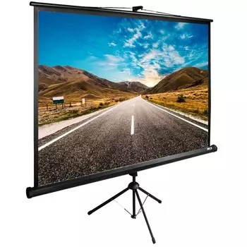 Экран Cactus TriExpert CS-PSTE-160x160-BK 90" 1:1 напольный рулонный