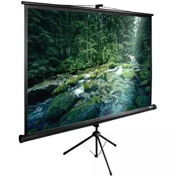 Экран Cactus TriExpert CS-PSTE-220х165-BK 110" 4:3 напольный рулонный
