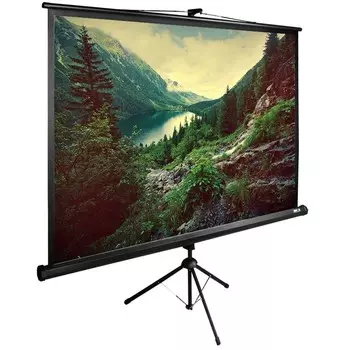 Экран Cactus TriExpert CS-PSTE-220х220-BK 120" 1:1 напольный рулонный