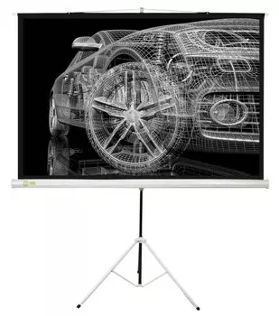 Экран Cactus Triscreen CS-PST-124x221 100" 16:9 напольный рулонный белый