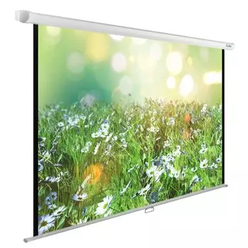 Экран Cactus WallExpert CS-PSWE-200x200-WT 110" 1:1 настенно-потолочный рулонный