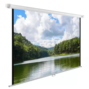 Экран Cactus WallExpert CS-PSWE-240x150-WT 110" 16:10 настенно-потолочный рулонный