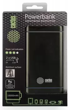 Мобильный аккумулятор Cactus CS-PBMS029-10000SG 10000mAh 1A+2.1A графит