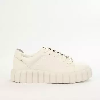 Кожаные кеды Calipso