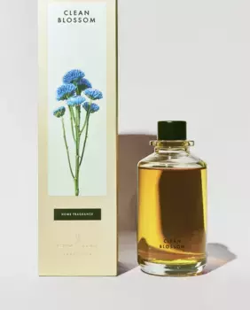 (190 мл) диффузор из чистого цветка Zara Home, зеленый / белый