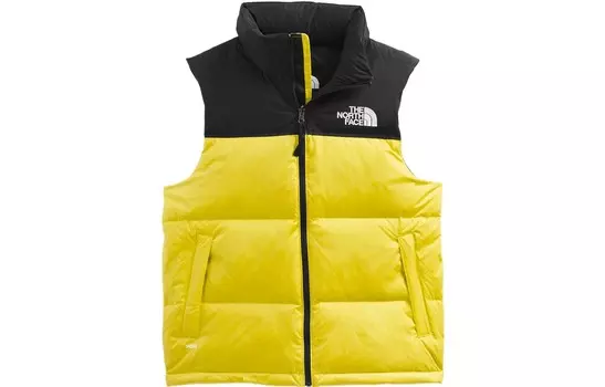 1996 Коллекция Жилет Мужской Многоцветный The North Face, цвет Multicolor