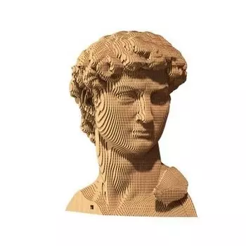 1DEA.me, 3D-пазл Дэвид Картоник