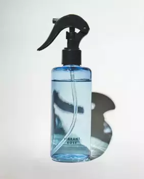 (200 мл) спрей-диффузор с яркой розой Zara Home, цвет Bluish Grey