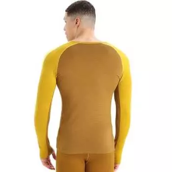 200 ZoneKnit топ с круглым вырезом с длинными рукавами мужской Icebreaker, цвет Silent Gold/Clove/Shine/Cb