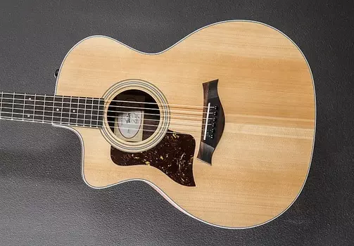 214CE Левая рука Taylor 214CE Left Hand
