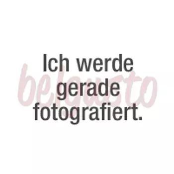 24 штуки Набор массивный, полированный в цвете GK LUGANO Picard & Wielptz