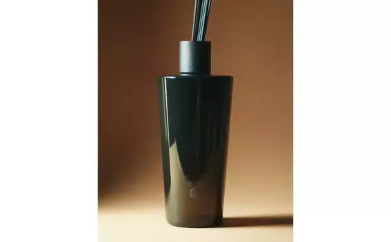 (2, 5 л) язычковые диффузоры Signature Collection xxl Zara Home, бежевый