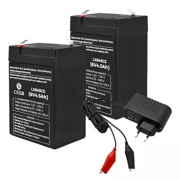 2 гелевых аккумулятора CSSB 6 В 4,5 Ач + зарядное устройство