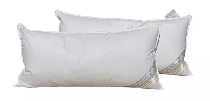 2 x Подушки Пуста, перьевые подушки, подушки для шеи 40х80, 30% пух, толщина 600 г Betten Hofmann