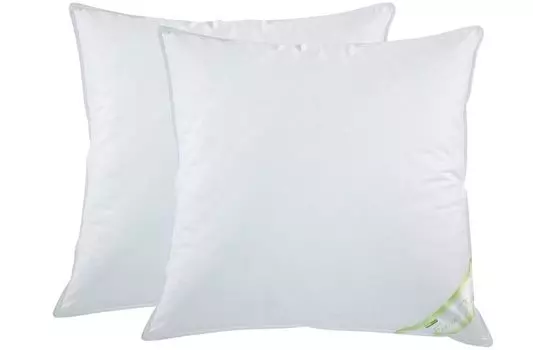 2x подушки 15% гусиный пух, подушки, перья 80х80 Свеня moebel-frank