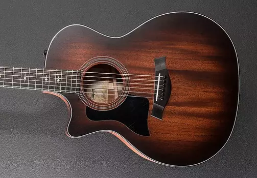 324CE Левая рука Taylor 324CE Left Hand