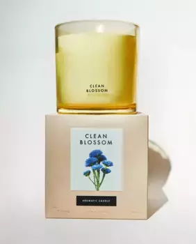 (400 г) ароматическая свеча «Чистый цветок» Zara Home, зеленый / белый