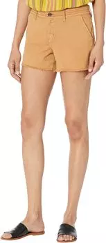 4-дюймовые шорты Санчо Prana, цвет Earthbound