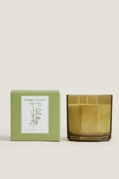 (500 г) ароматическая свеча fresh lives Zara, земля