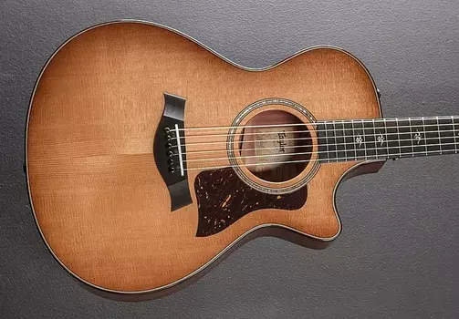 512CE - Городская железная кора Taylor 512CE - Urban Ironbark