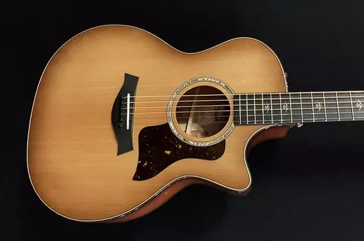 514ce-Городская железная кора Taylor