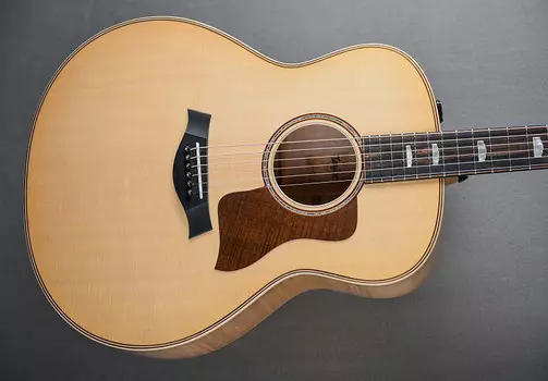 618Э Taylor 618E