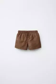 6-14 лет/ плавательные шорты с вышивкой в виде пальмы ZARA, коричневый