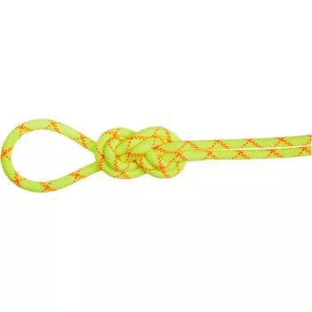 95 Веревка Alpine Core Protect для сухого лазания Mammut, желтый