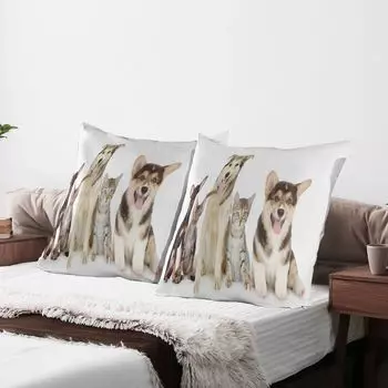 ABAKUHAUS Чехол на подушку корги, набор из 2 шт., групповые домашние животные, кошки и собаки, фото четвероногих друзей, чехол на подушку с декоративным принтом, 80 x 80 см, многоцветный