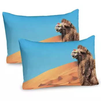 ABAKUHAUS Desert Чехлы для подушек, набор из 2 шт., фотография верблюда крупным планом в песчаных дюнах и небе пустыни Сахара, чехол для подушки с декоративным принтом, 80x40 см, умбра бледно-оранжевая