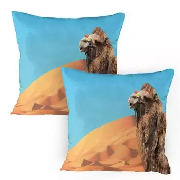 ABAKUHAUS Desert Чехлы для подушек, набор из 2 шт., фотография верблюда крупным планом в песчаных дюнах и небе пустыни Сахара, чехол для подушки с декоративным принтом, 80x80 см, умбра бледно-оранжевая