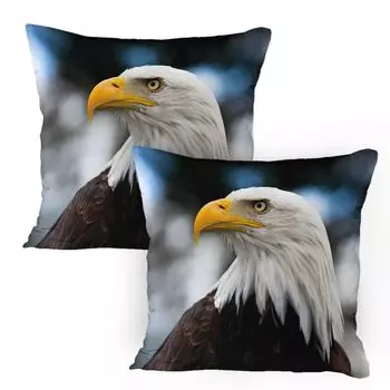 ABAKUHAUS Eagle Чехлы для подушек, набор из 2 шт., фотография главы символа свободы в Америке с размытым фоном, чехол для подушки с декоративным принтом, 80x80 см, темно-коричневый, календулы синего цвета