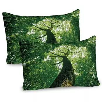 ABAKUHAUS Forest Чехлы для подушек, набор из 2 шт., высокое старое дерево, вид снизу, солнечные лучи, кончики деревьев, листья, изображение природы, чехол для подушки с декоративным принтом, 80 x 40 см, зеленый, светло-зеленый, коричневый
