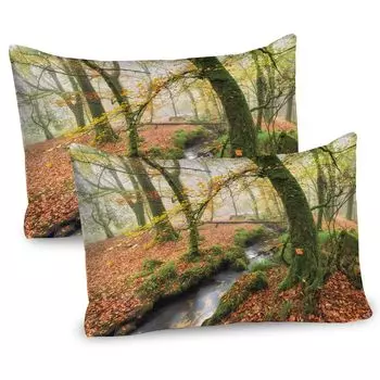 ABAKUHAUS Forest, набор из 2 чехлов для подушек, туманный осенний лесной ручей у водопада Голита на Бодмин-Мур в Корнуолле, чехол для подушки с декоративным принтом, 80x40 см, оранжево-зеленый желтый
