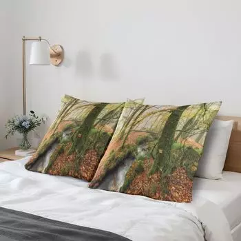 ABAKUHAUS Forest, набор из 2 чехлов для подушек, туманный осенний лесной ручей у водопада Голита на Бодмин-Мур в Корнуолле, чехол для подушки с декоративным принтом, 80x80 см, оранжево-зеленый желтый