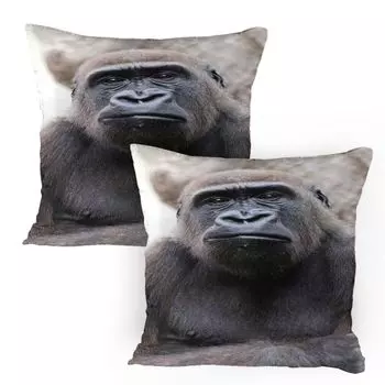 ABAKUHAUS Gorilla Чехлы для подушки, набор из 2 шт., изображение молодого человека крупным планом, чехол для подушки с декоративным принтом, 80 x 80 см, темно-серый умбра