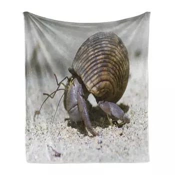 ABAKUHAUS Hermit Crab Мягкое фланелевое флисовое одеяло, макроснимок изображения существа на песке, 175 x 230 см, темно-коричневый, умбра, бледно-серый