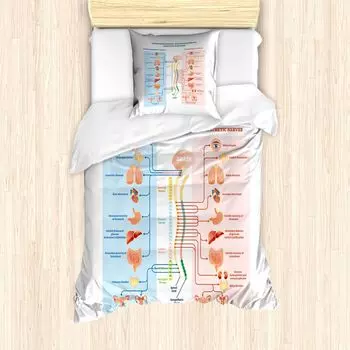 ABAKUHAUS Комплект пододеяльников Anatomy для односпальных кроватей, структура нервной системы, защита от клещей, подходит для аллергиков, с наволочкой, 135 см x 200 см - 80 x 80 см, нежно-голубой и румяный