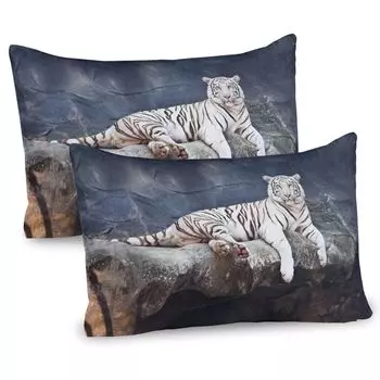 ABAKUHAUS Tiger Чехлы для подушек, набор из 2 шт., Кот-альбинос, сидящий на камне — Возвышенная природа — Замечательное животное — Виды, находящиеся под угрозой исчезновения, Чехол для подушки с декоративным принтом, 80 x 40 см, Серо-голубой бел...