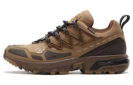 ACS+ CSWP Атмос Слои Ископаемые Salomon
