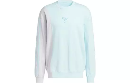 Adidas Мужская толстовка, Синий