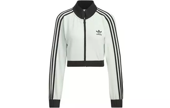 Adidas Originals Женская куртка, цвет Linen Green