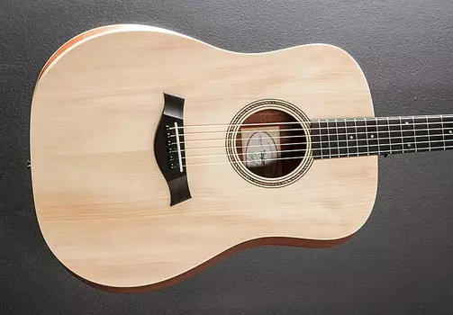 Академия 10Э Taylor 10E