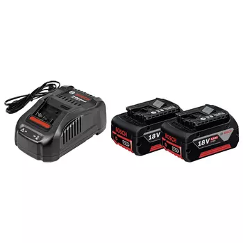 Аккумулятор BOSCH Professional GBA 1600A00B8J 5Ah 18V (2 шт.) + зарядное устройство