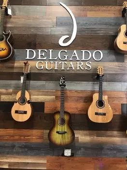 Акустическая гитара Breedlove Oregon Concert Earthsong LTD