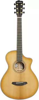 Акустическая гитара Breedlove Organic Collection Artista Concertina CE | Natural Shadow Burst Gloss