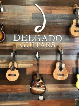 Акустическая гитара Breedlove Pursuit Exotic S Concert Edgeburst CE